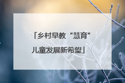 乡村早教“慧育”儿童发展新希望